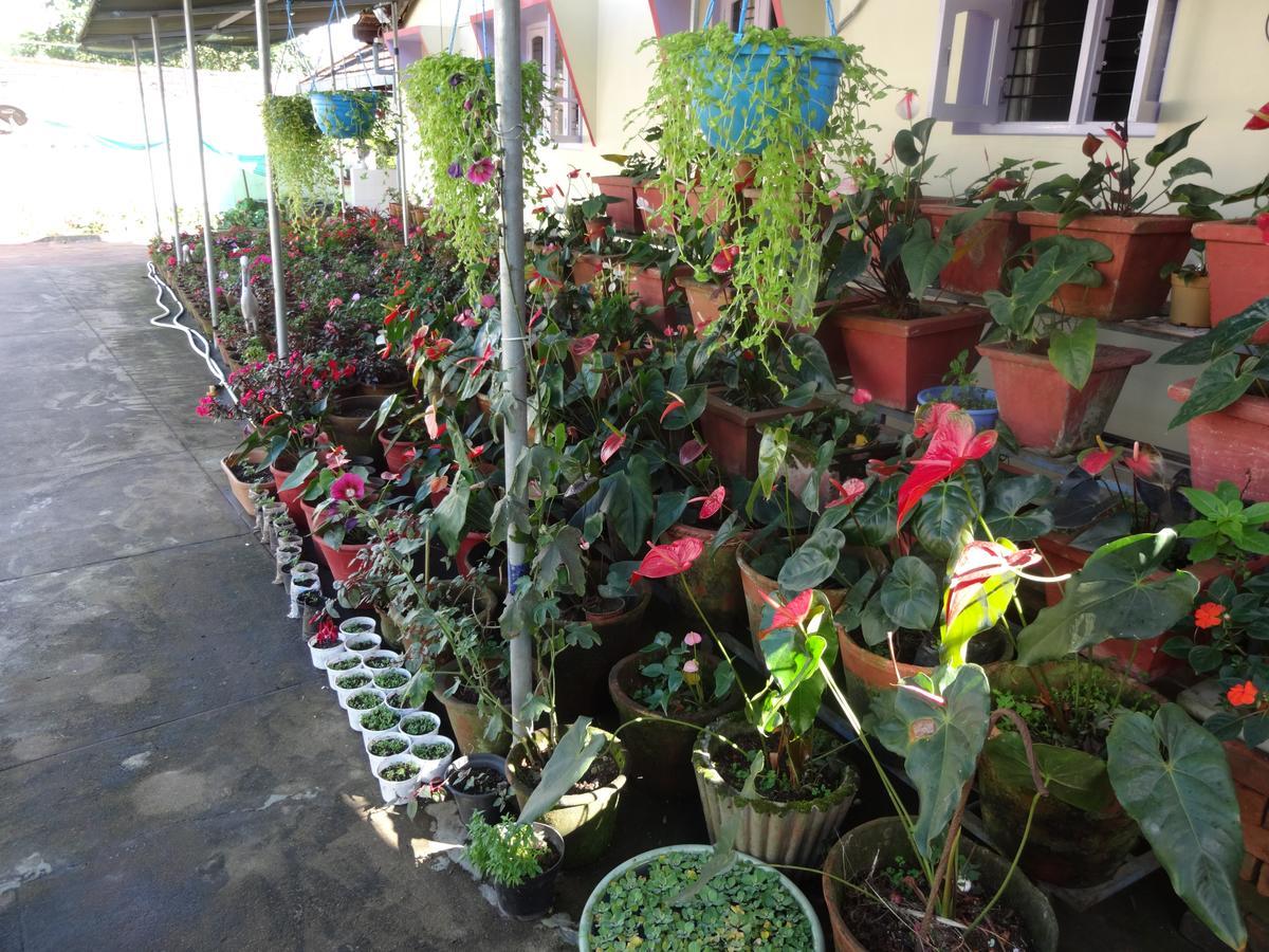 Cauvery Suites Madikeri Eksteriør bilde
